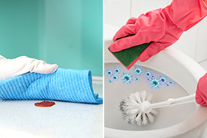 Cleaning Sauce Versus Sanitizing Toilet