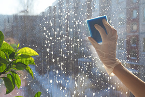 Toxic Chemicals Contained in Most Cleaners Are Hazardous for The Environment
