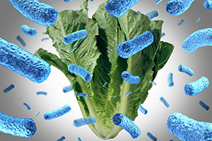 Bacterial Residue on Vegetables