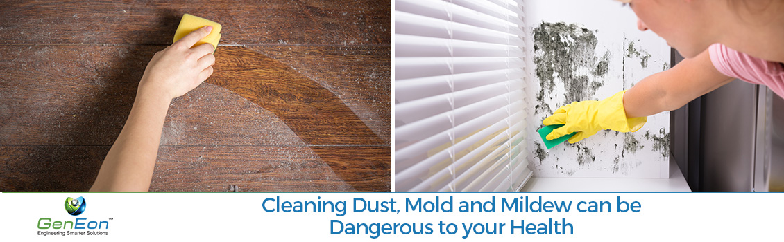 Cleaning Dust and Mildew