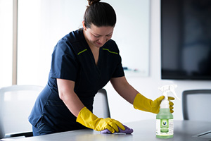 Cleaning and Sanitizing Commercial Settings