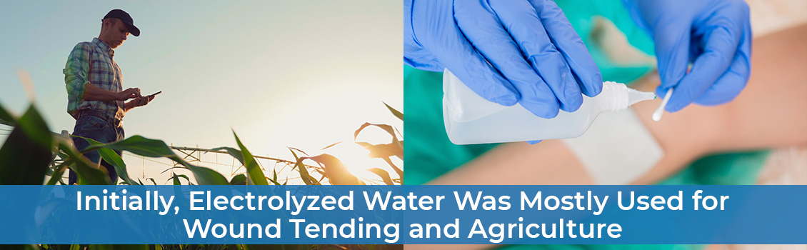 Farm Owner Taking Stock and Gloved Hands Dropping Disinfectant on Cotton Swab